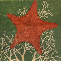 Arm of the Starfish